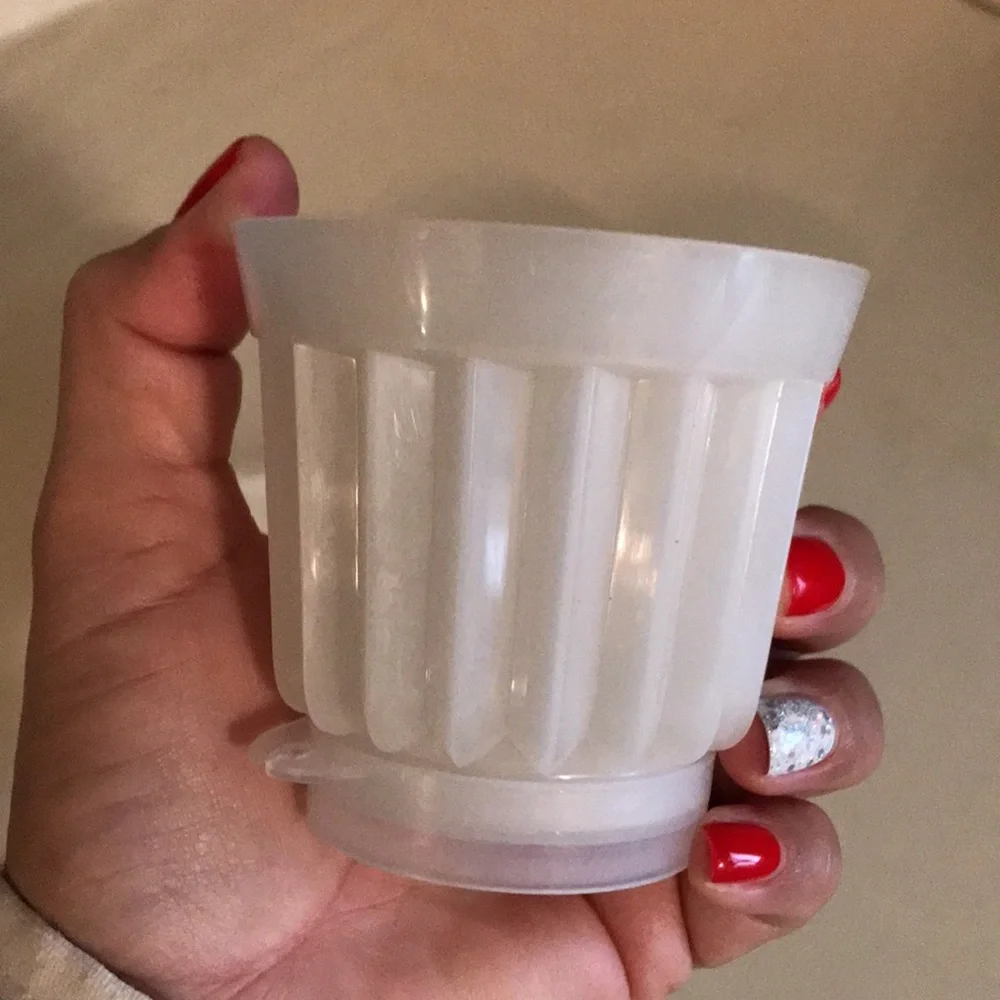 Tupperware vintage gelatin